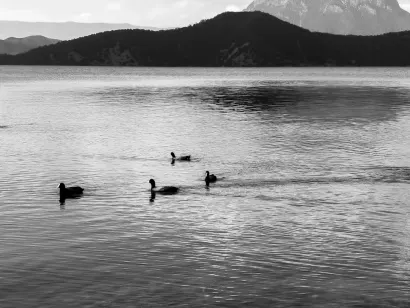 SlotoCash Casino Mobilapp